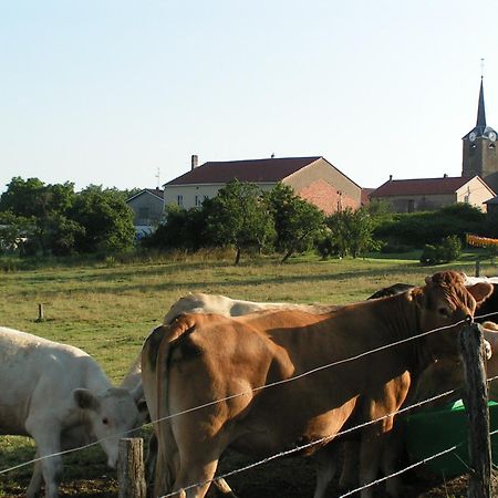 Chambres D'Hotes Au Presbytere Racrange Exteriör bild