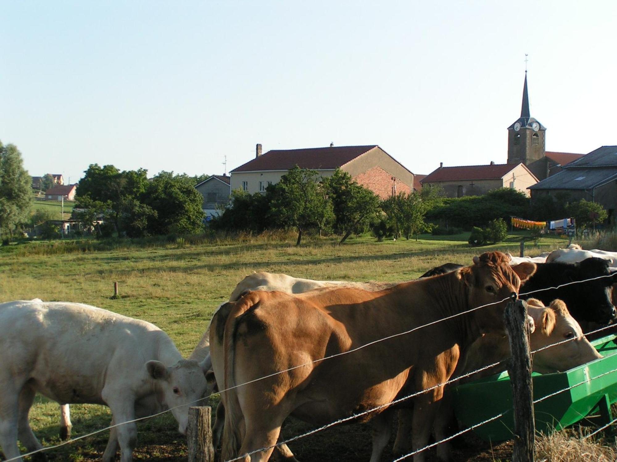 Chambres D'Hotes Au Presbytere Racrange Exteriör bild